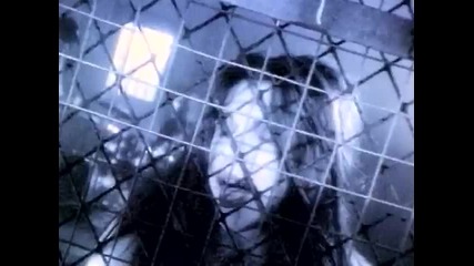 Lee Aaron - Baby Go Round 