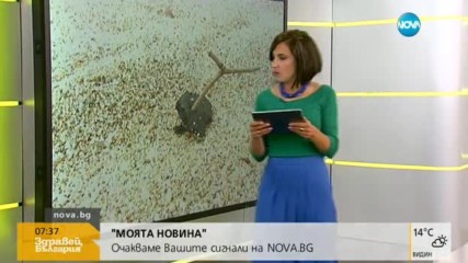 След сигнал на зрител на NOVA: Проверяват плажове до Синеморец за мазут