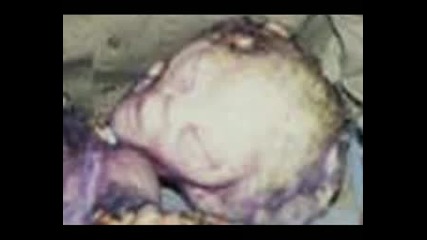 alien k vio philip corso