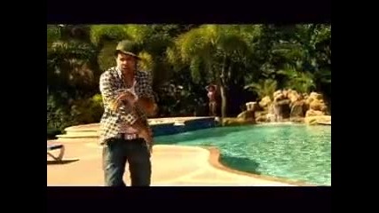Ready Fi Di Ride by Shaggy