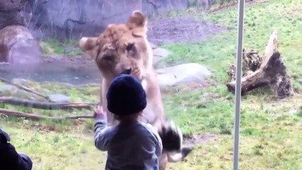 Компилация - деца и животни в зоопарка