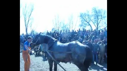 коне