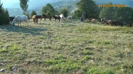 Резервата Али Ботуш в планината Славянка близо до Голешово и Сандански 