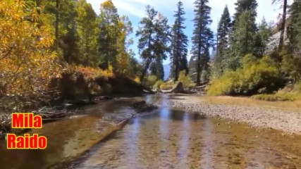 Самые Популярные Хиты Шансон