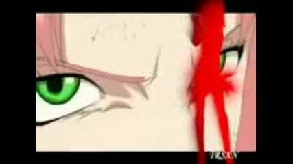 Sakura - Circus