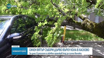 Силен вятър събори дърво върху автомобил в Хасково