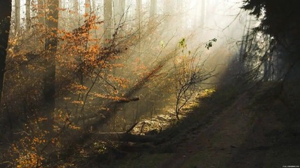 Music for love Everytime I close my eyes - musicriver - Blog