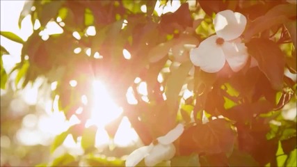 Marco Torrance with Arcana Moon - Real Love [hd 1080p]