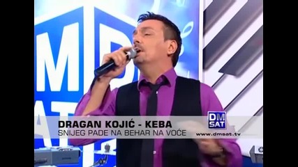 Dragan Kojic Keba - Snijeg pade na behar na voce - (LIVE) - Sto da ne - (TvDmSat 2009)