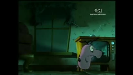 Бъмпър на Кураж 