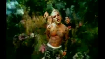 The Dominators- Butterfly