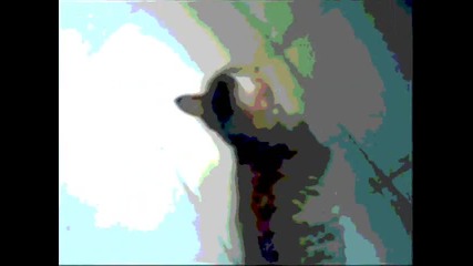 16 Volt-feel It Trhruogh