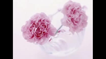 Enya - Dreams Are More Precious