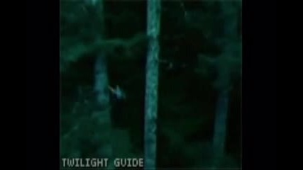 Twilight Tribute