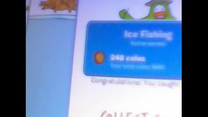 Clup penguin