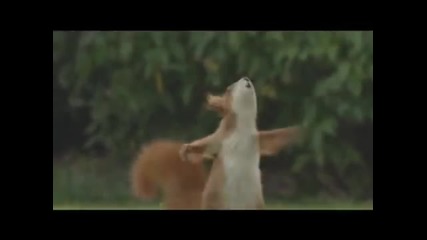 Катеричка играе футбол!