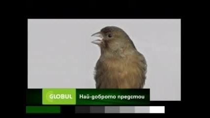 Pesenta Na 50 - Cent 2