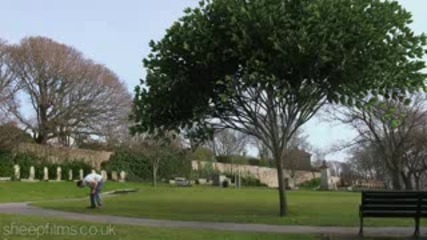 Какво Дърво