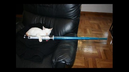 Cats With Lightsabers