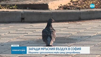 Въздухът в София е 3 пъти по-мръсен от допустимото