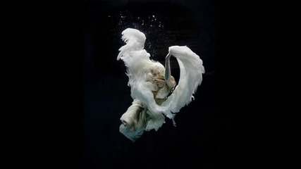 Elefante - Volar Sin Alas