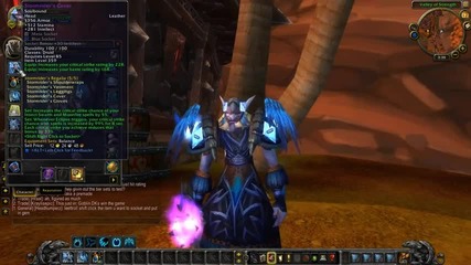 Wow Cataclysm Beta - Tier 11 Leather 