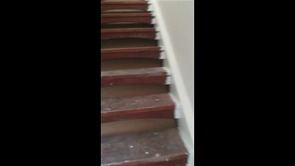 Vid_20220715_081632.mp4
