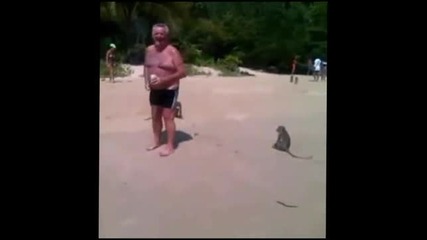 маймуни събличат мъж 