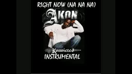 Akon Right Now Na Na Na (instrumental)