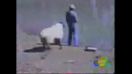 Супер Смешни Инциденти - Вода