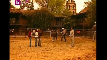 Pasion de Gavilanes 116.2
