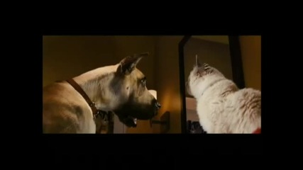 Marmaduke – How is my breath Teaser Trailer 