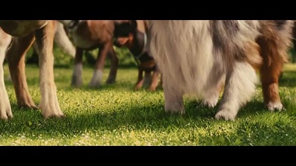 3. Мармадюк - Бг аудио * (2010) ^ Marmaduke