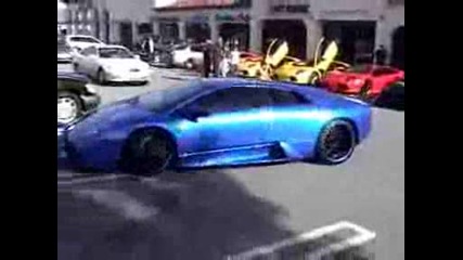 Lamborghini fest