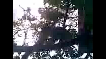 kote 2