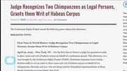 Judge Deems Research Chimpanzees 'Legal Persons' in Rights Case