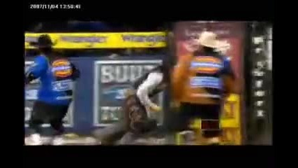 Pbr rider Justin Mcbride clinches the 2007 Pbr World Title on the back of the bull Camo2 