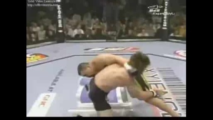 Highlights Of Ufc K1 and Mma