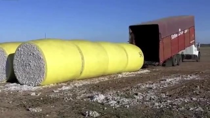 Камион издържа огромни трупове