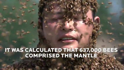 Китаец постави рекорд за най-много пчели по тялото си -637 хил.!