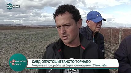 Лозарите от поморийско ще бъдат компенсирани с 2,3 млн. лева