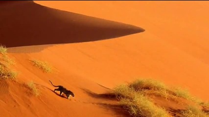 Sahara sunset Karunesh