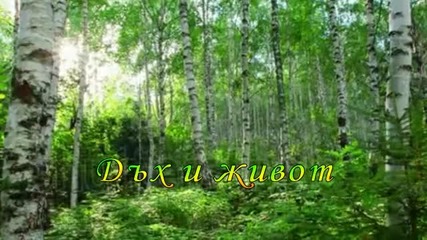 Дъх и живот- Audiomachine Breath and Life