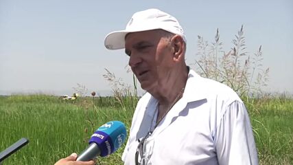 Селскостопански самолет падна край Раднево, пилотът загина
