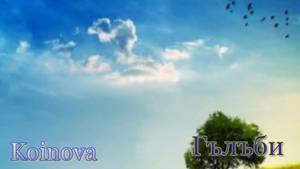Гълъби