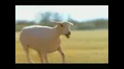 Reklama Budweiser 2006
