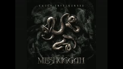 Meshuggah - Ched 