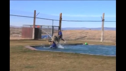Tigers at play at Out of Africa Wildlife Park (jeff shows us wild animals can be fun) 