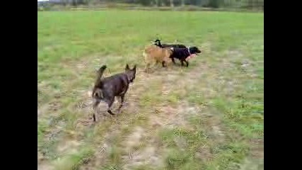 Curly Und Pia