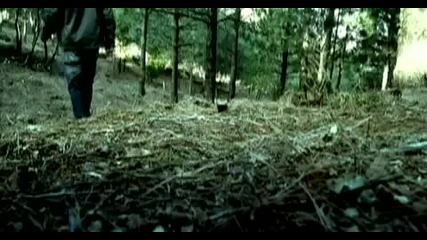 Falling Up - Broken Heart 
